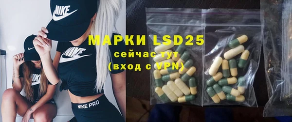 ECSTASY Алзамай
