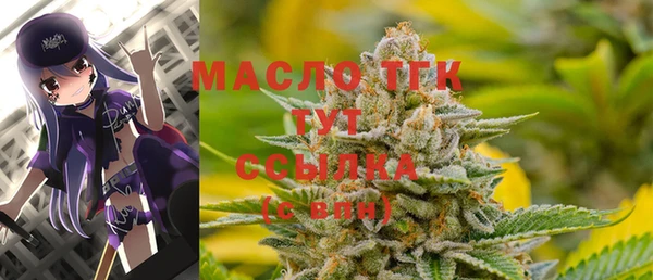 ECSTASY Алзамай