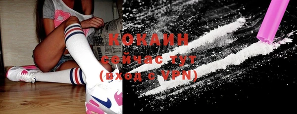 ECSTASY Алзамай