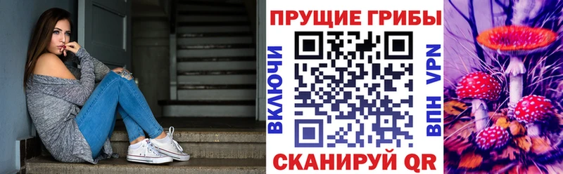 Псилоцибиновые грибы MAGIC MUSHROOMS  дарнет шоп  Красный Кут 